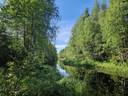 RANTA-AHO 785-401-3-37 metsämääräalakiinteistö 18,5 ha Vaalan kk:ltä n.22 km 1