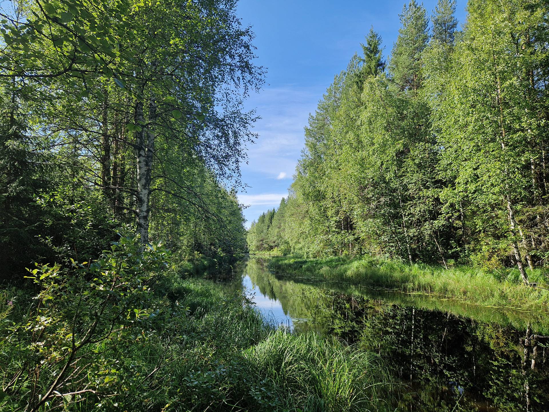 Cover photo for the object RANTA-AHO 785-401-3-37 metsämääräalakiinteistö 18,5 ha Vaalan kk:ltä n.22 km