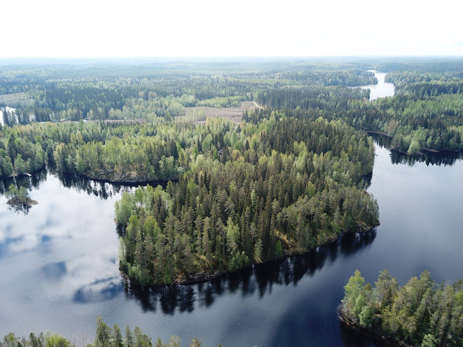 Orivesi, Enojärvi, Haukkaniemi, leirikeskus ja AM-tontti 5