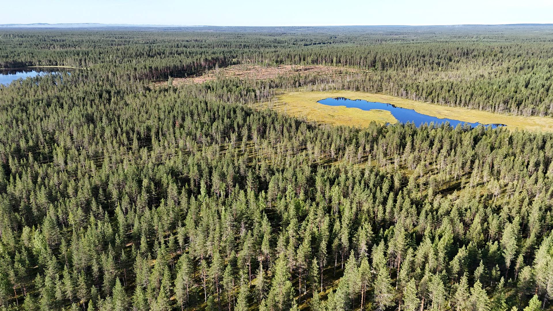 YLIPIHA 620-405-15-12 metsäkiinteistö 47,78 ha PUOLANGALLA 1