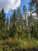 Nurkkala 578-404-4-15; Nurkkala II 578-404-4-19; Kunnas 578-404-24-13; Kunnas II 578-404-24-43 1