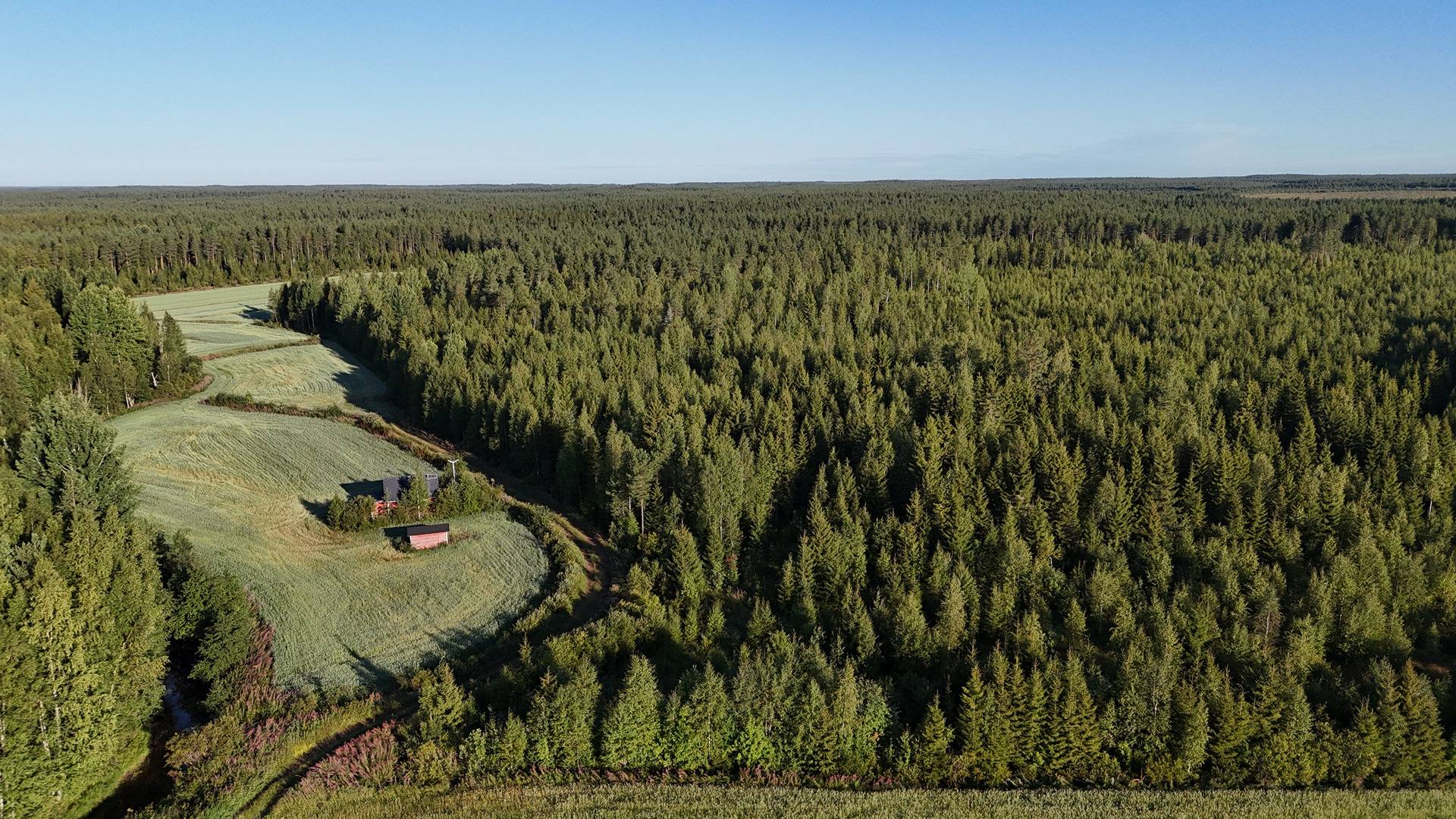 KAPUSTA 889-403-30-9 metsä- ja monikäyttökiinteistö 26,74 ha n.26 km Utajärven kk:ltä 1