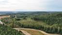 Mänttä-Vilppula, Elämäntaipale, Koivikko, metsätila 1