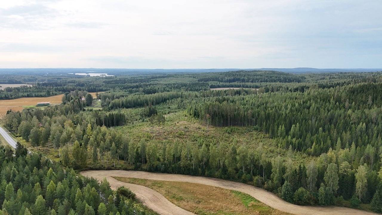 Kansikuva kohteelle Mänttä-Vilppula, Elämäntaipale, Koivikko, metsätila