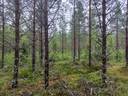 Jalasjärvi Härkämäki 164-406-12-37 1