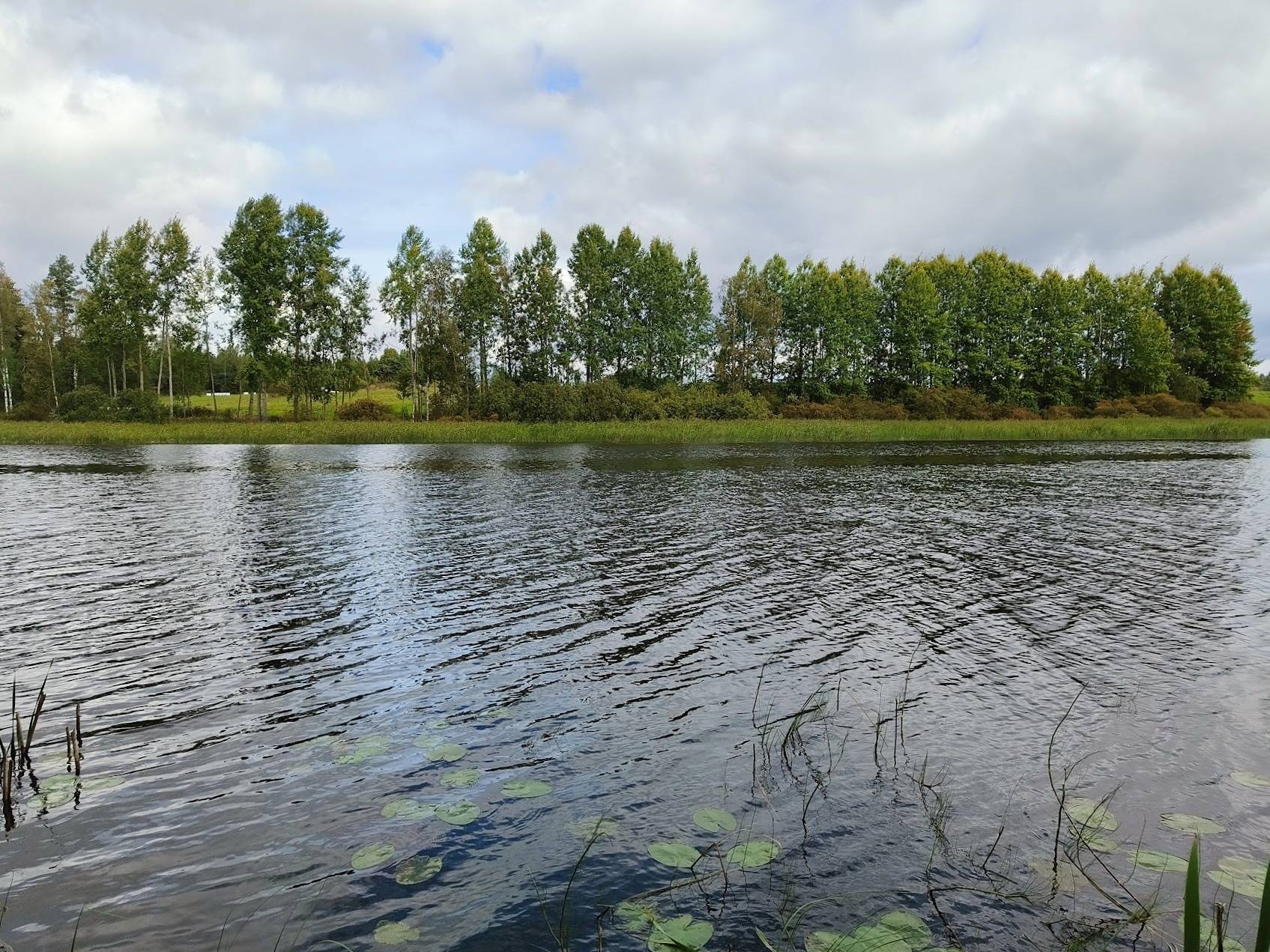 Määräala Laheksenniitty, 489-411-34-7 (Rakennuspaikka Vaalimaanjoki) 1