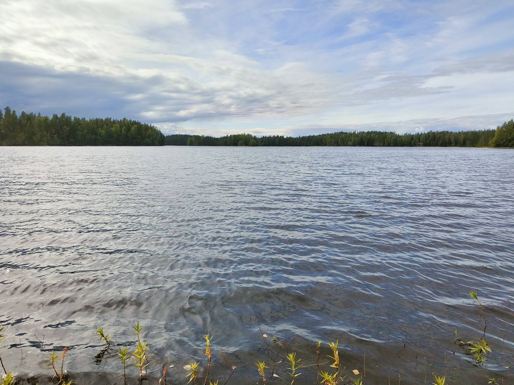 Määräala Hanhilampi, 489-409-4-336 (Rakennuspaikka Syvä Valkjärvi) 1