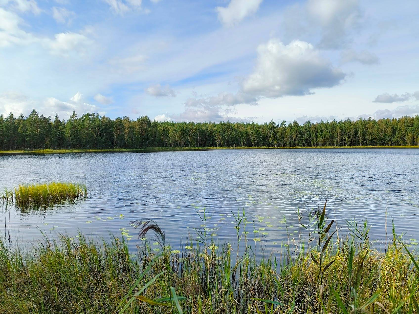 Määräala Hanhilampi, 489-409-4-336 (Rakennuspaikka / Pieni Hanhilampi)  1