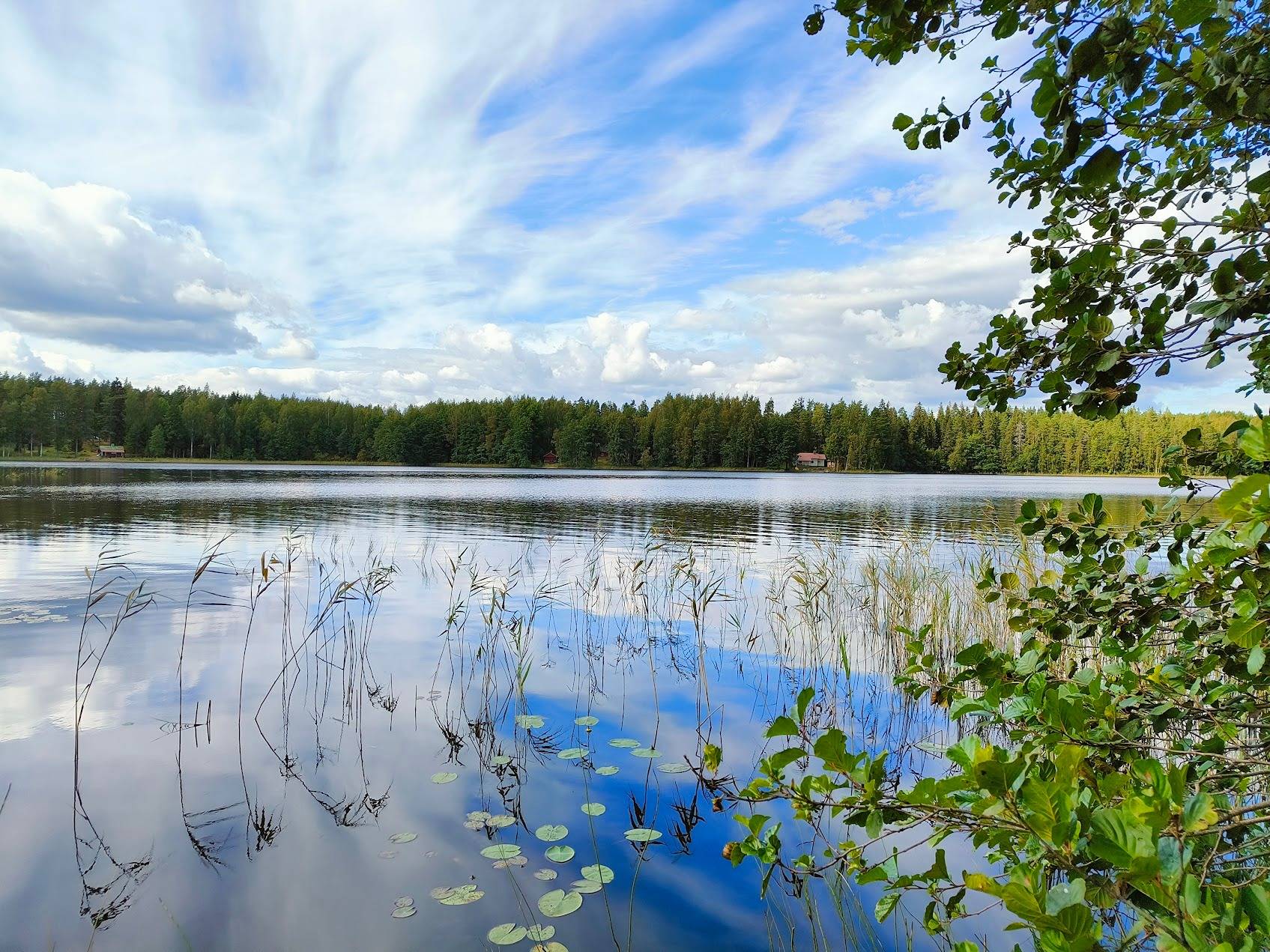 Valkjärvi, 489-410-2-121 (Metsätila, jolla omakotitalon/loma-asunnon rakennuspaikka / Valkjärvi) 1