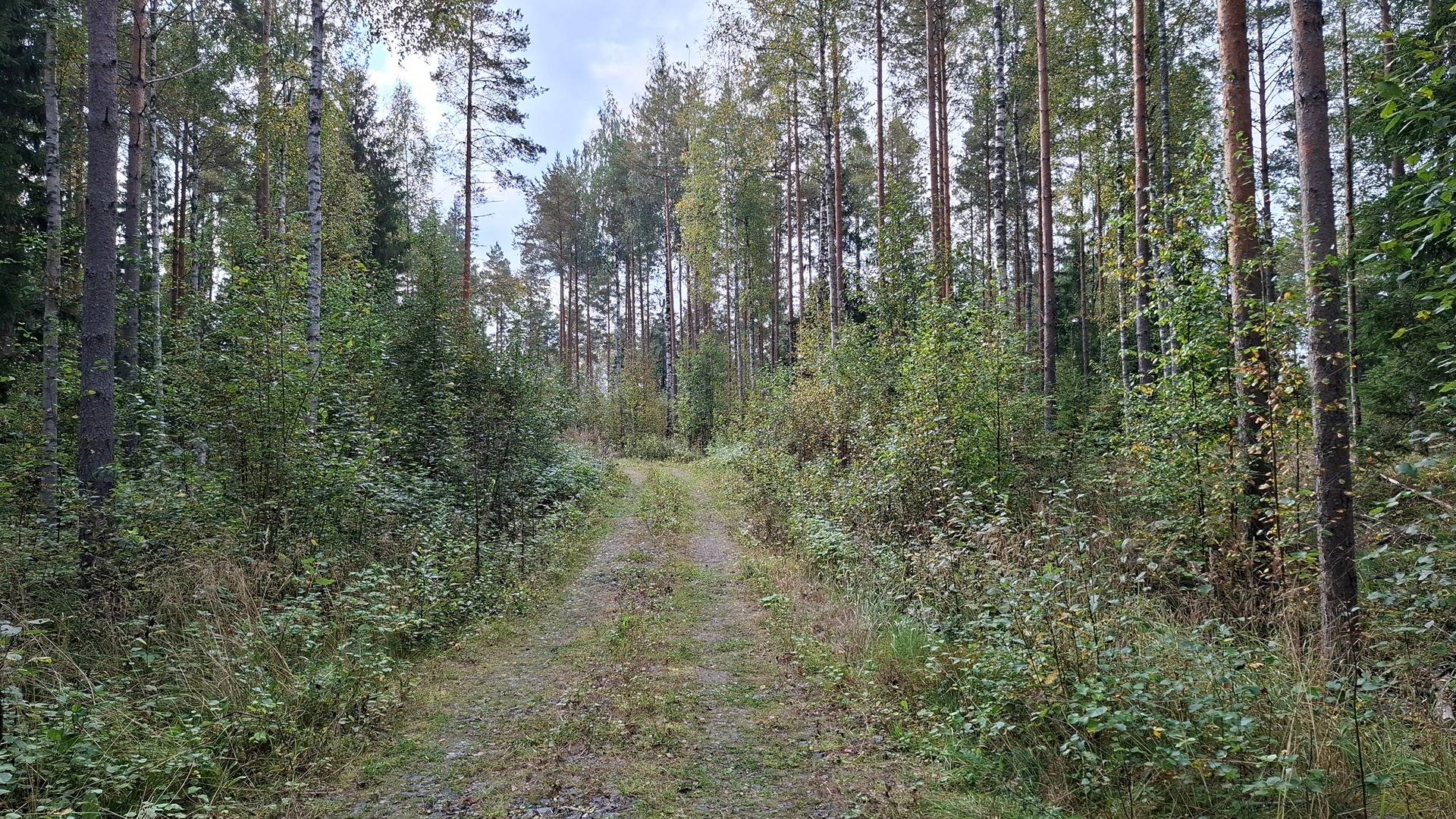 POHJOLA 8:128, Noormarkku / Pori 1