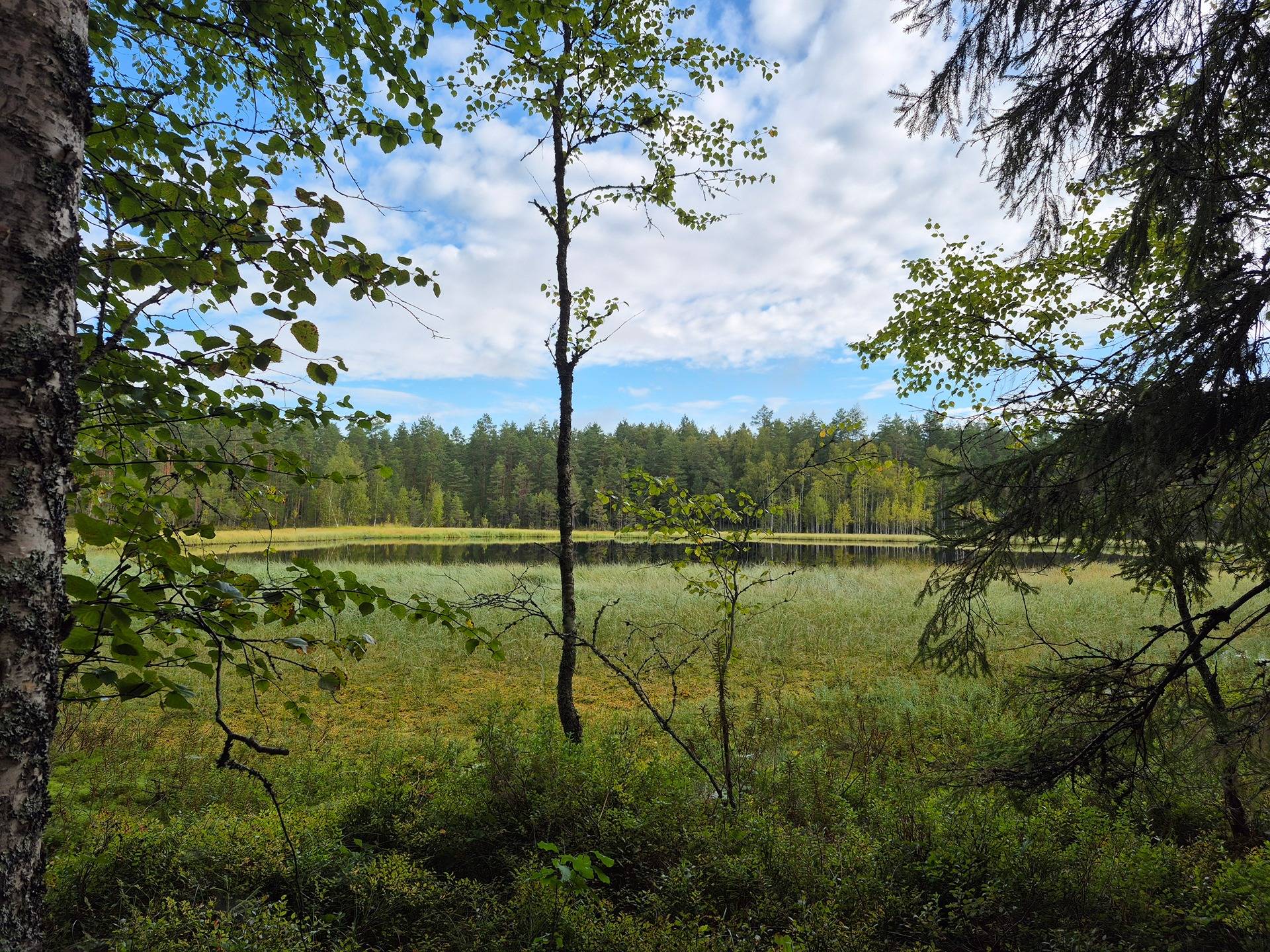 Metsätila Pomarkussa, Juonilamminsyrjä 1