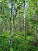 Huutola 832-401-37-3 1