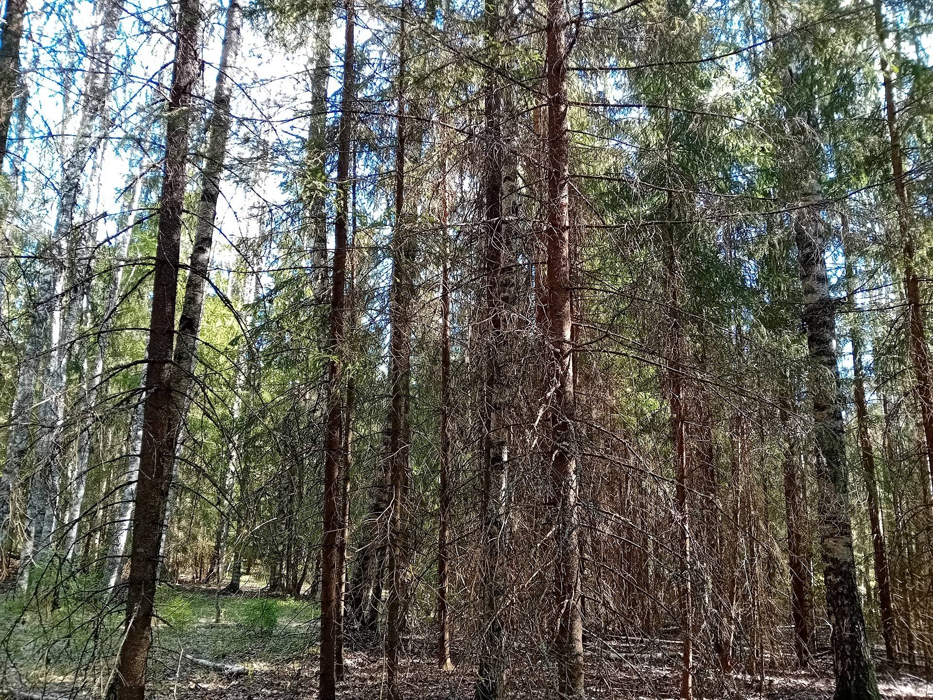 Jalasjärvi Perkiö 164-403-8-40 ja Iso-Perkiö 164-403-8-69 1