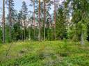Metsätila Siikaisissa, Esala 1