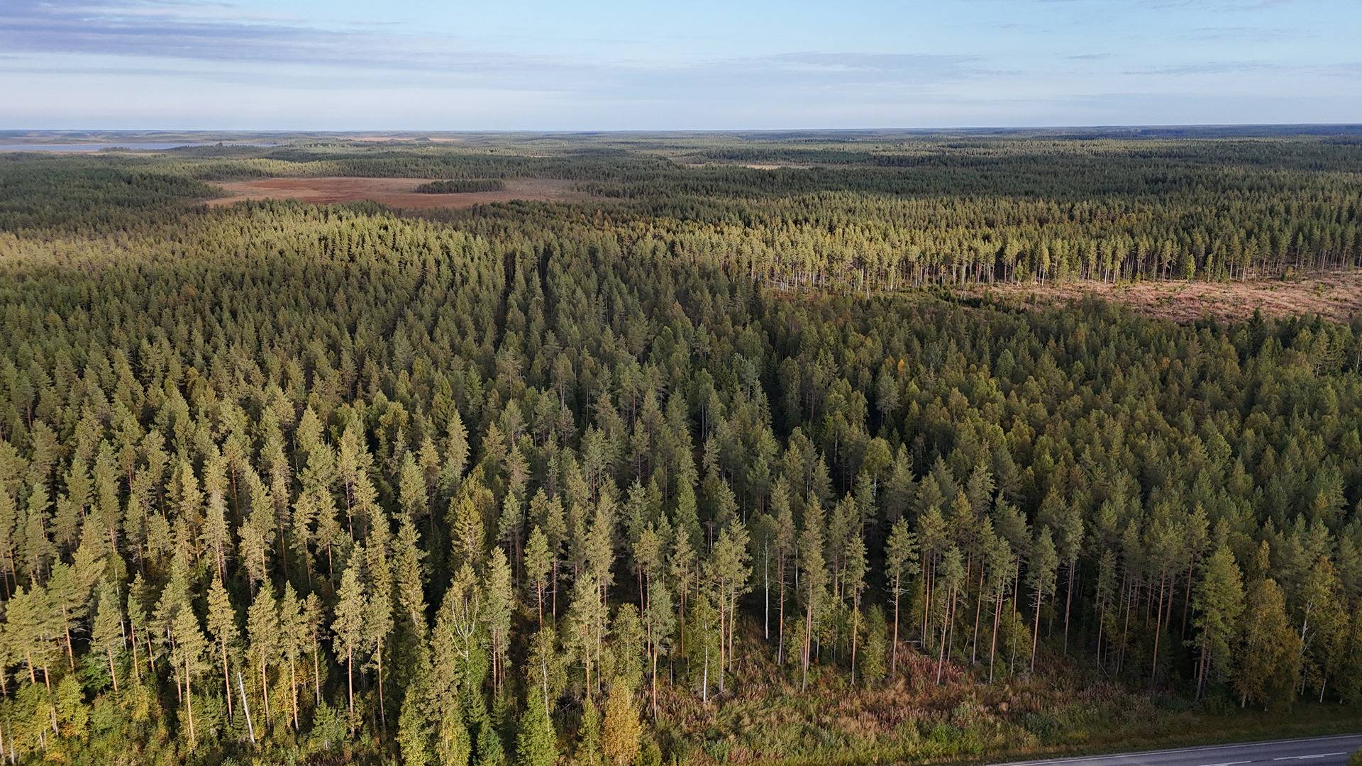 YLIPELTO  889-404-7-54 määräala n.15.5 hehtaaria Utajärven kk:ltä n. 7,5 km  1