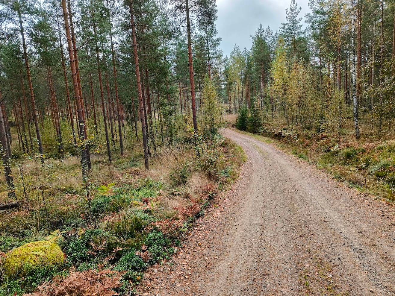 Kivelä, 75-422-4-15 (määräala / Akolammentie) 1