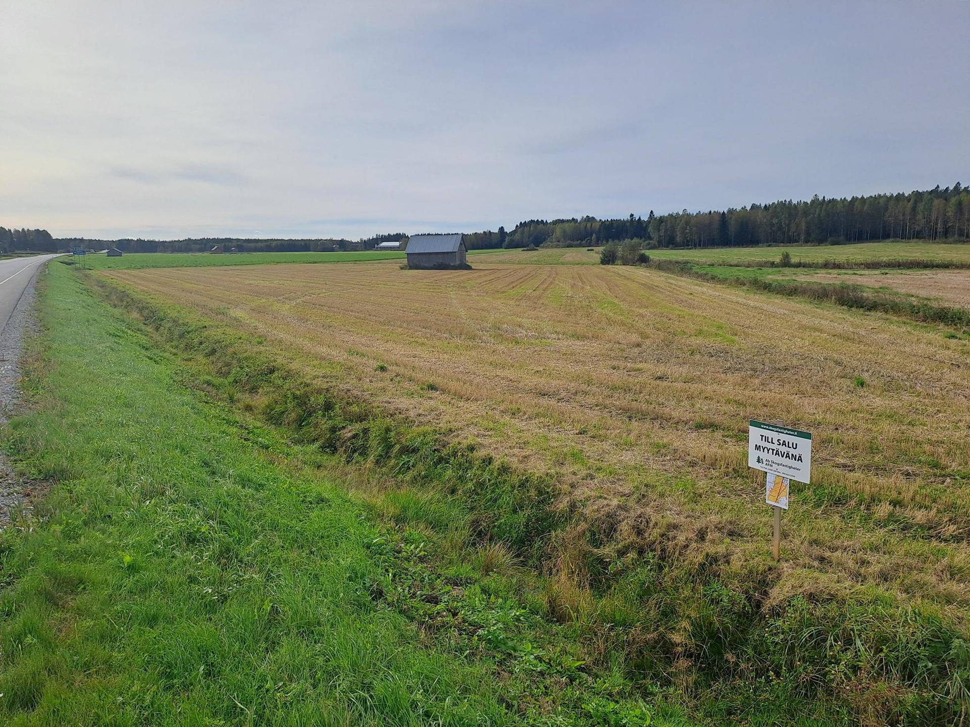 Klemits 1:74, Rimal 1