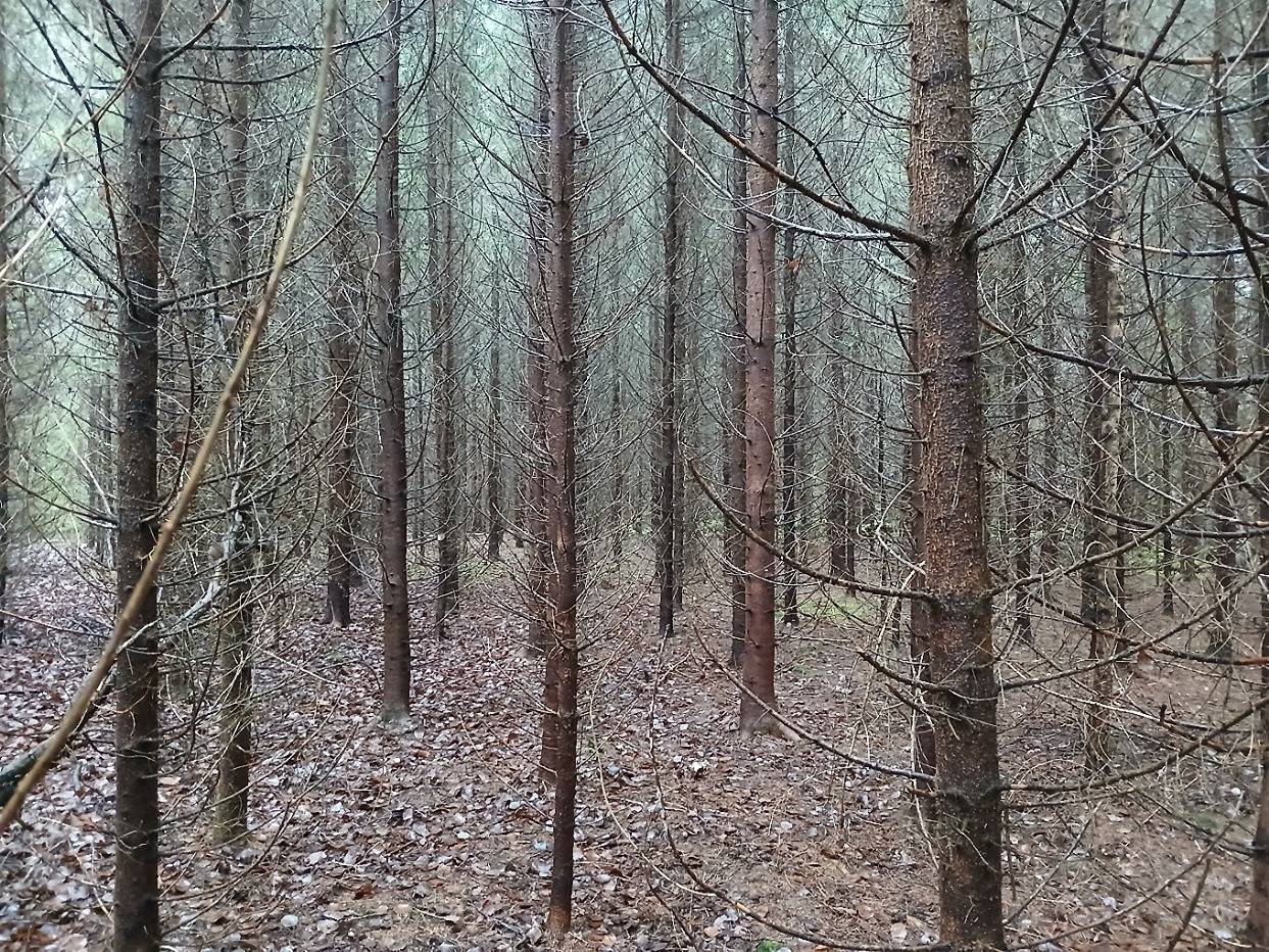 Kulmala 6:18, Kulmala II 6:49 ja Suopelto 6:43, Loppi 1