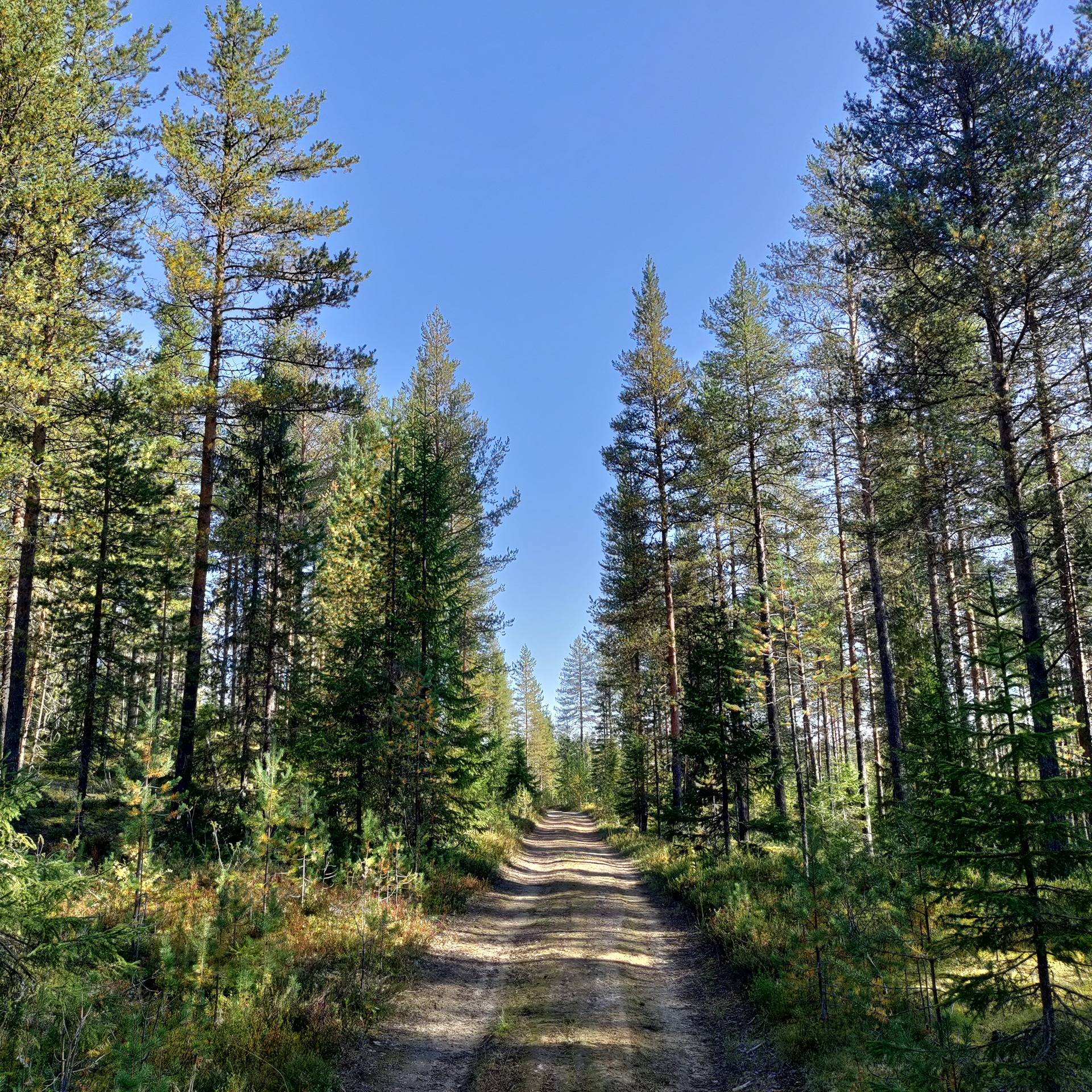 Matkala 305-411-232-3 1