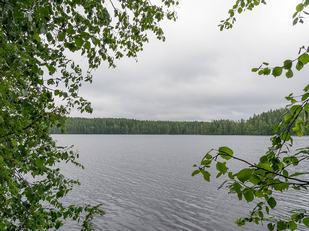 Ristkari 739-429-3-58 1