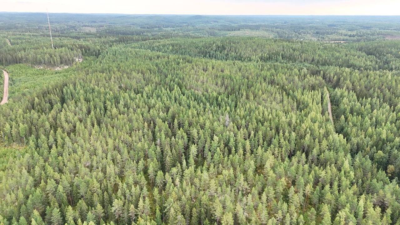Orivesi, Längelmäen kirkonkylä, Metsä-Manula 1