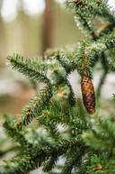 del av/osa Wannäsgården 5:24, Sundby 1