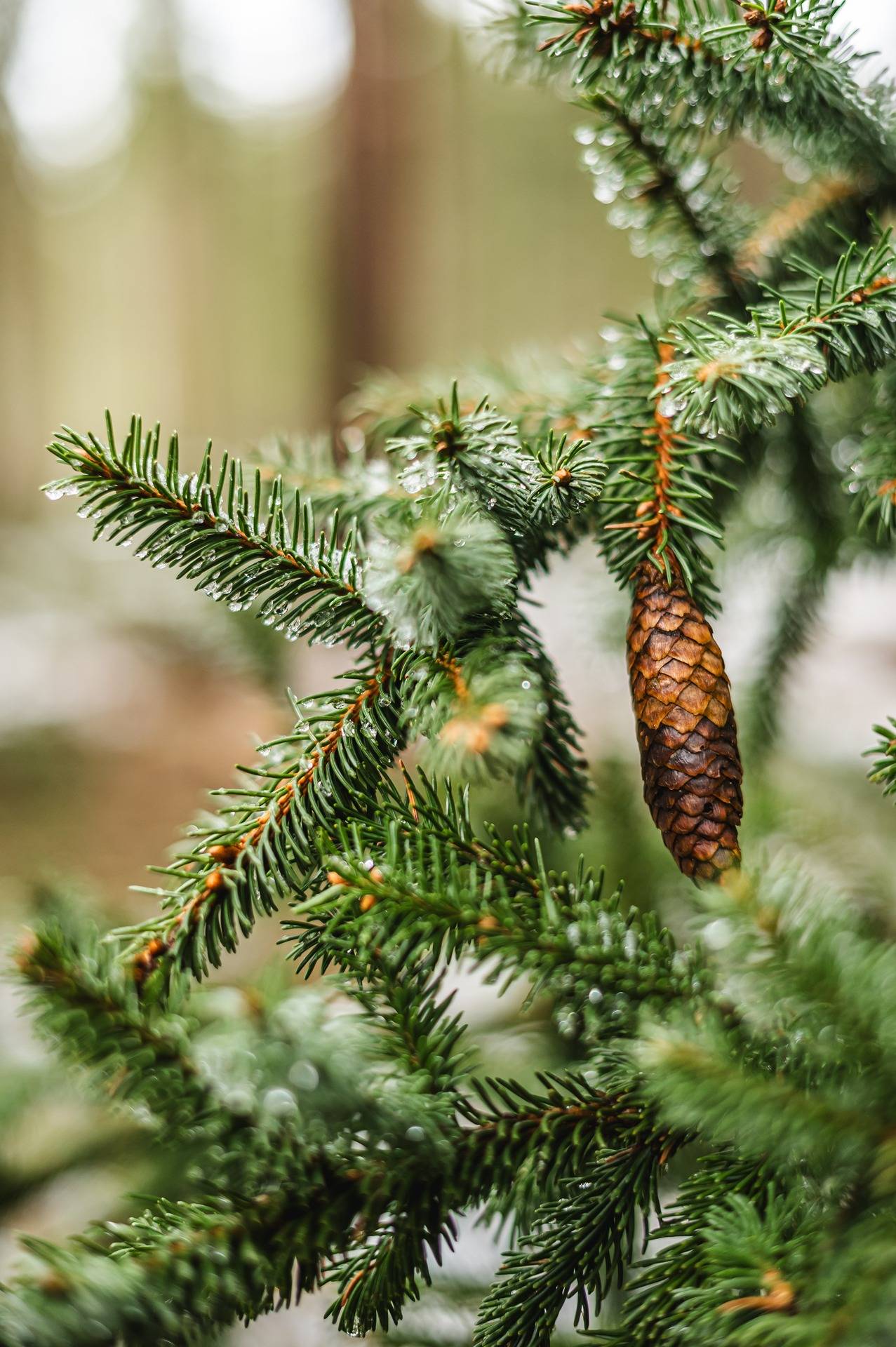 del av/osa Wannäsgården 5:24, Sundby 1