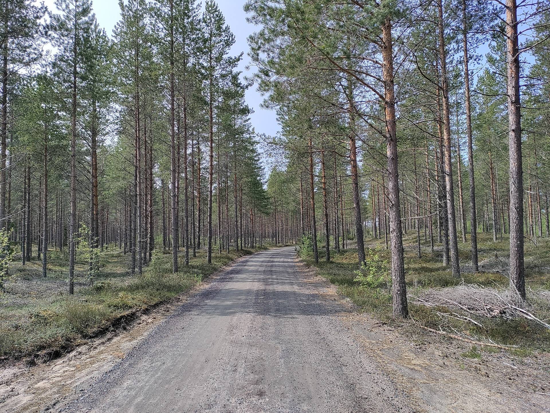 Mantila 208-402-1-266 1