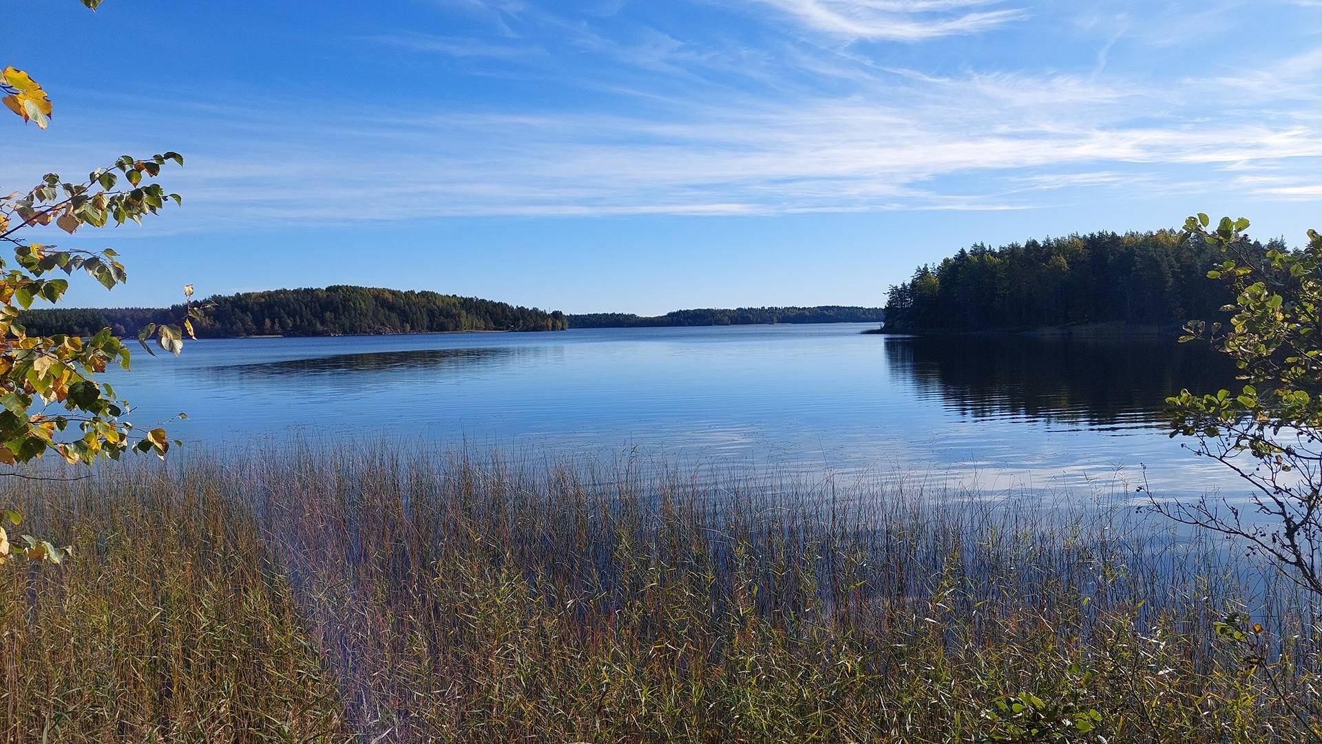 Kansikuva kohteelle Saarela 405-442-3-175