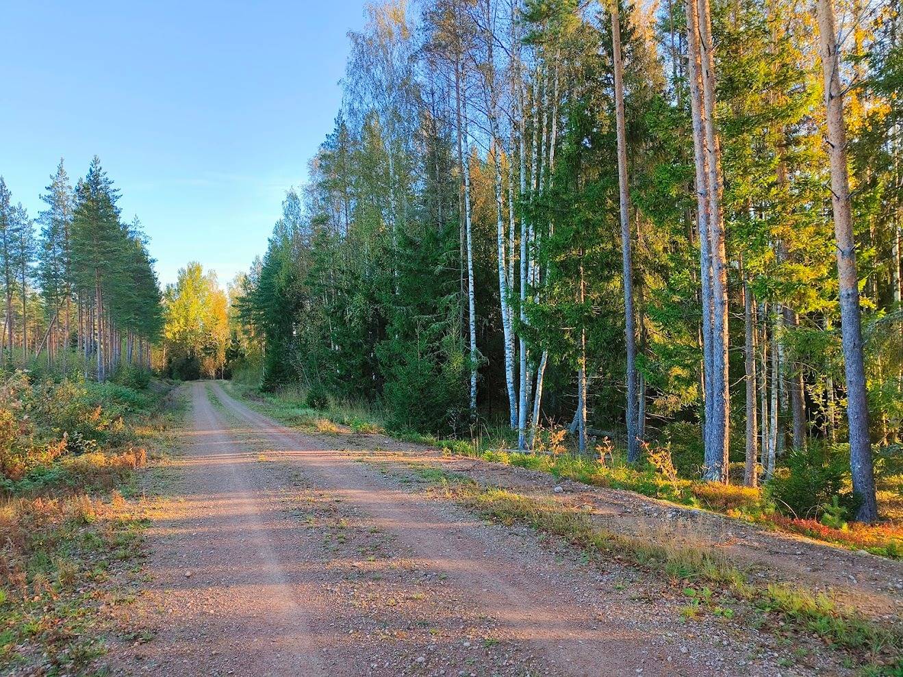 Haavikonkolkka, 935-416-1-36 1