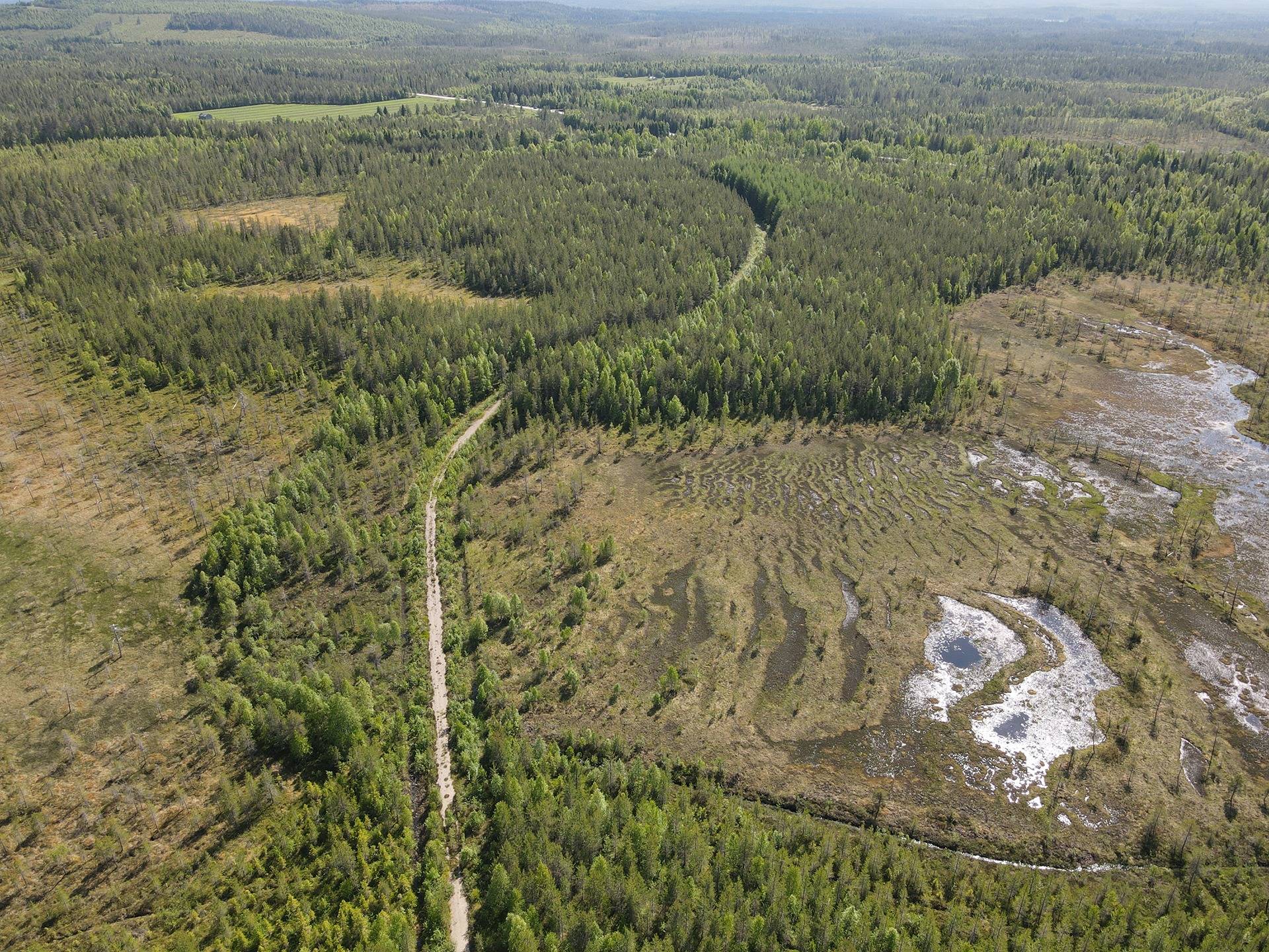 Kansikuva kohteelle Takkula 614-409-58-5