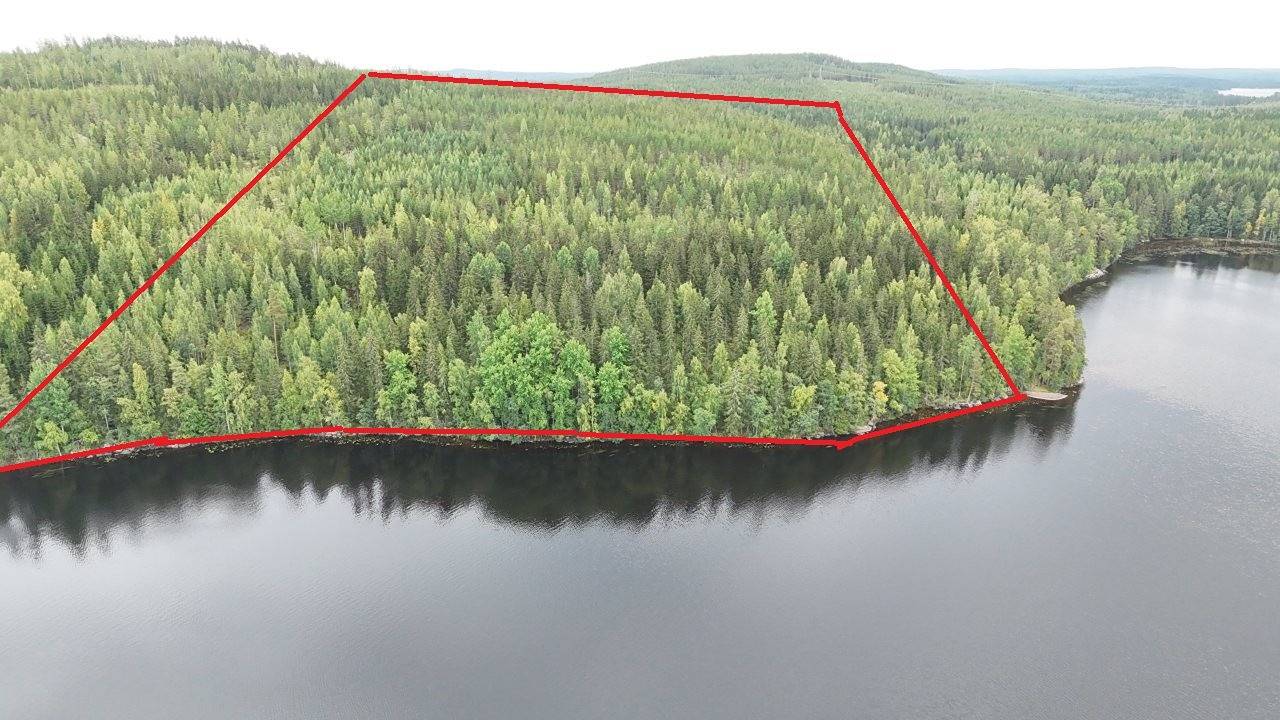 Orivesi, Talviainen/Äväntäjärvi, Soimasuonmetsä 1