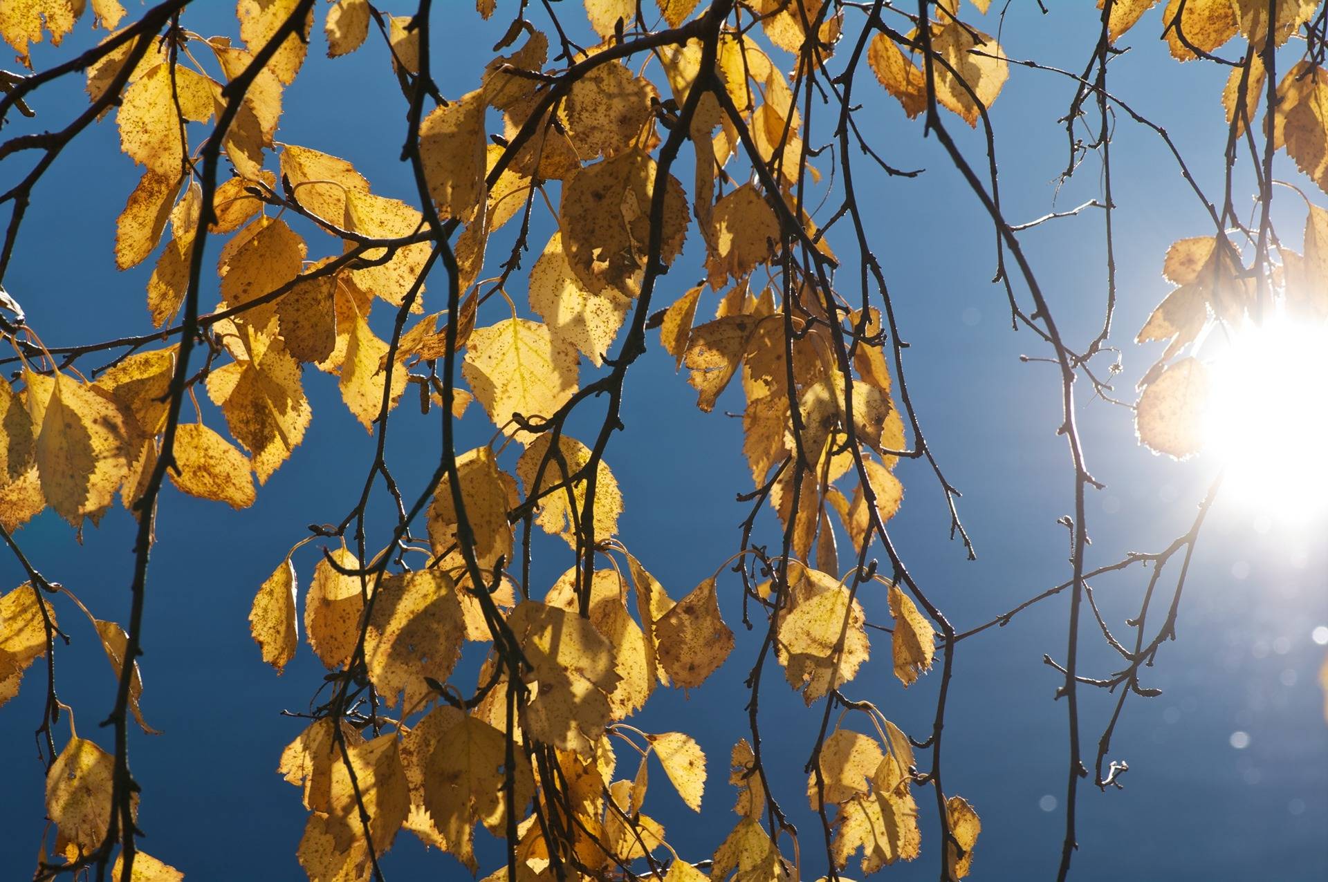 del av/osa Söderback 2:74, Korsnäs 1