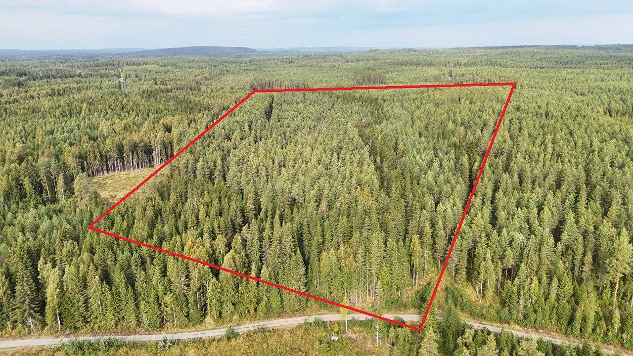 Kansikuva kohteelle Jämsä, Kuorevesi/Mänttä, Metsätila Suurisuo