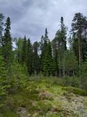 Mäkelä 615-412-197-0 1