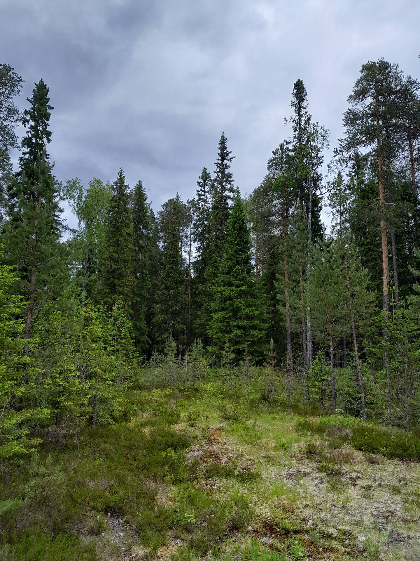 Mäkelä 615-412-197-0 1