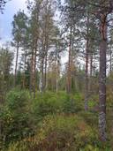 VEIKKOLA 151-403-5-59 1