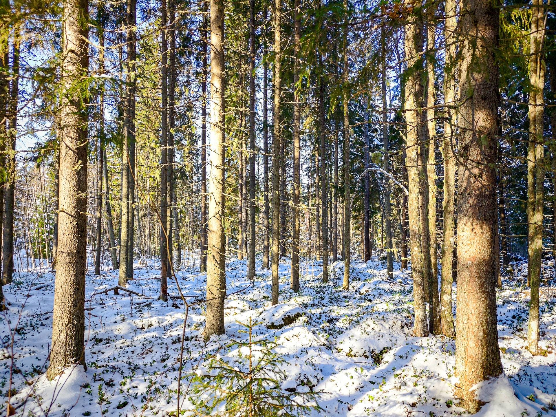 Isokyrö, Napuen kylätie, Perävainio 152-408-6-49 1