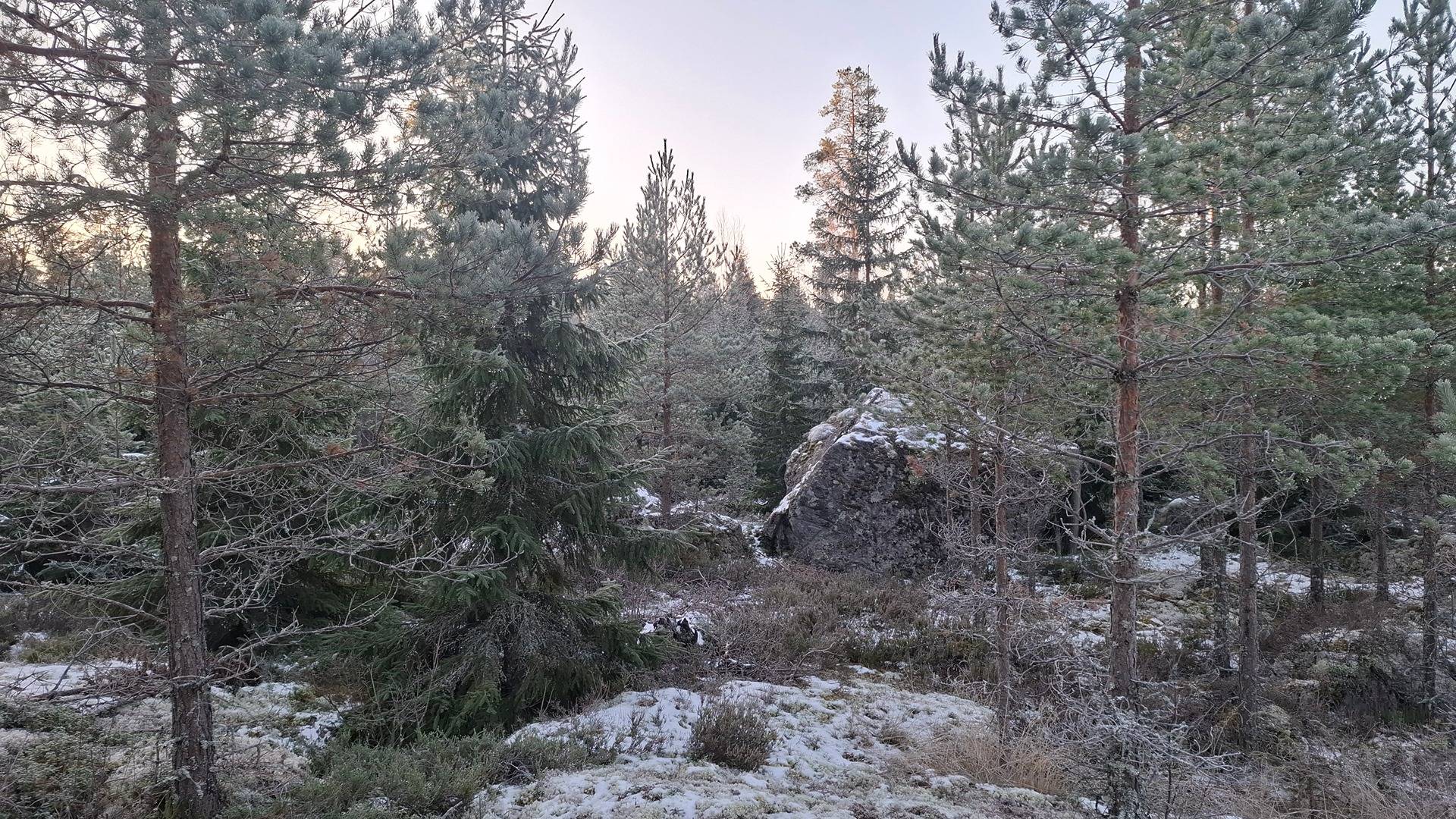 POHJOLAINEN Keikyä / Sastamala 1