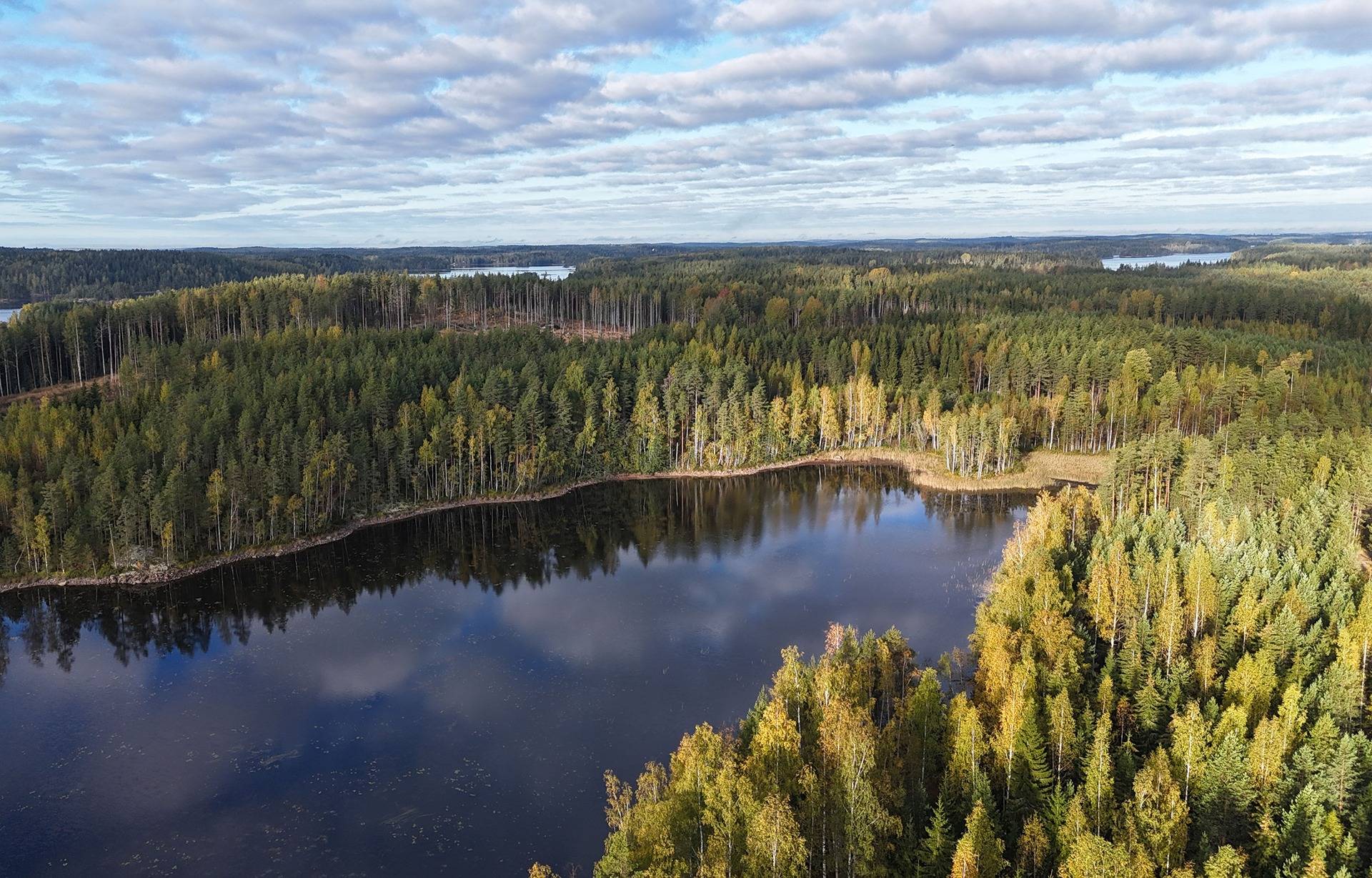 Mäkipelto 739-409-1-337 1