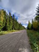 Koivuniemi 844-401-4-26 1