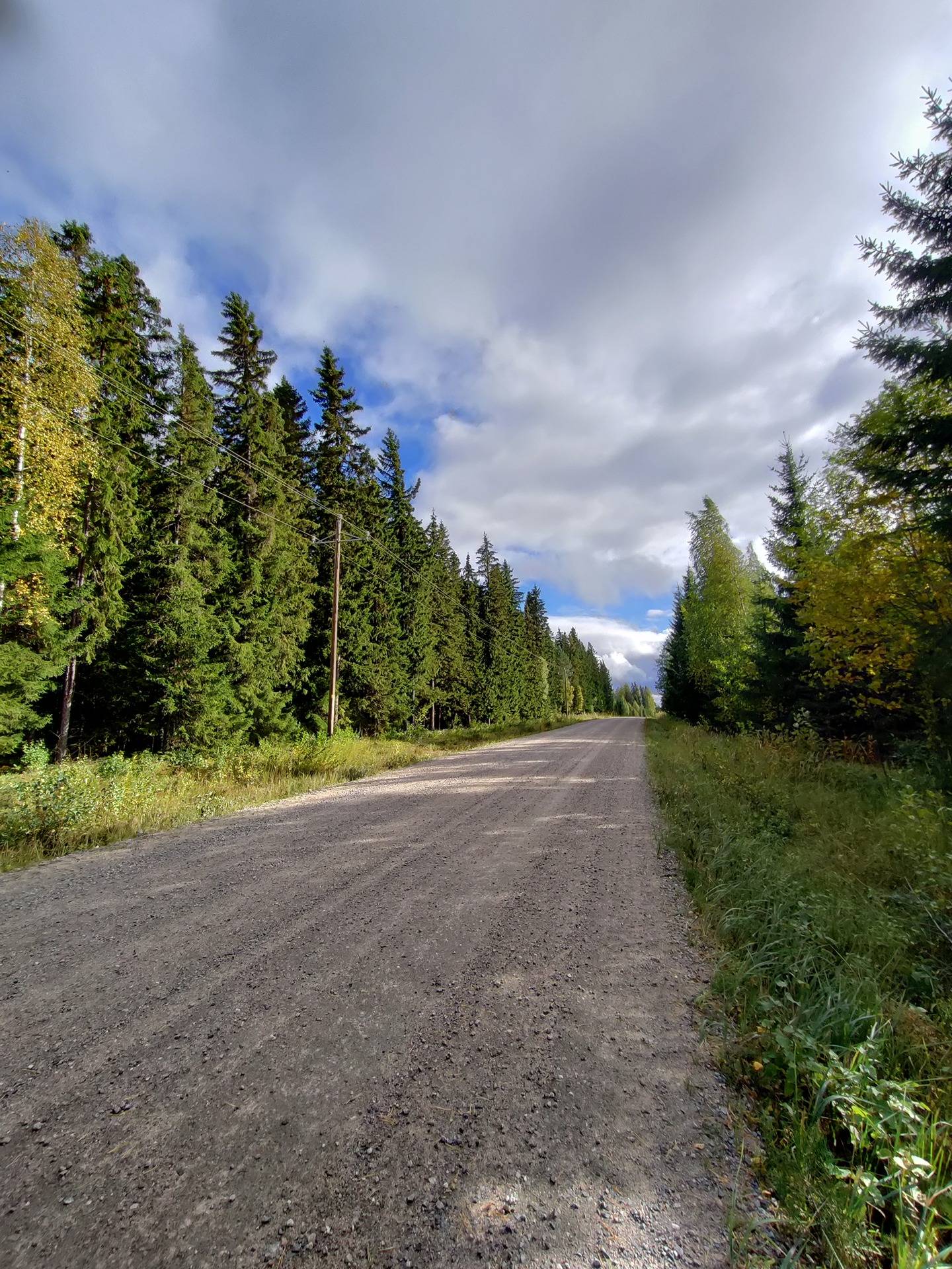 Koivuniemi 844-401-4-26 1