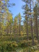 Uusitalo 748-402-1-43 1