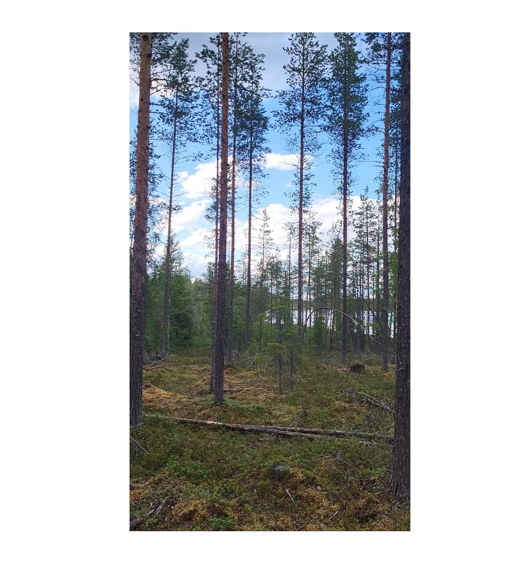 Hanhisuo 732-411-5-20 ja Telekylmä 732-411-5-27 1