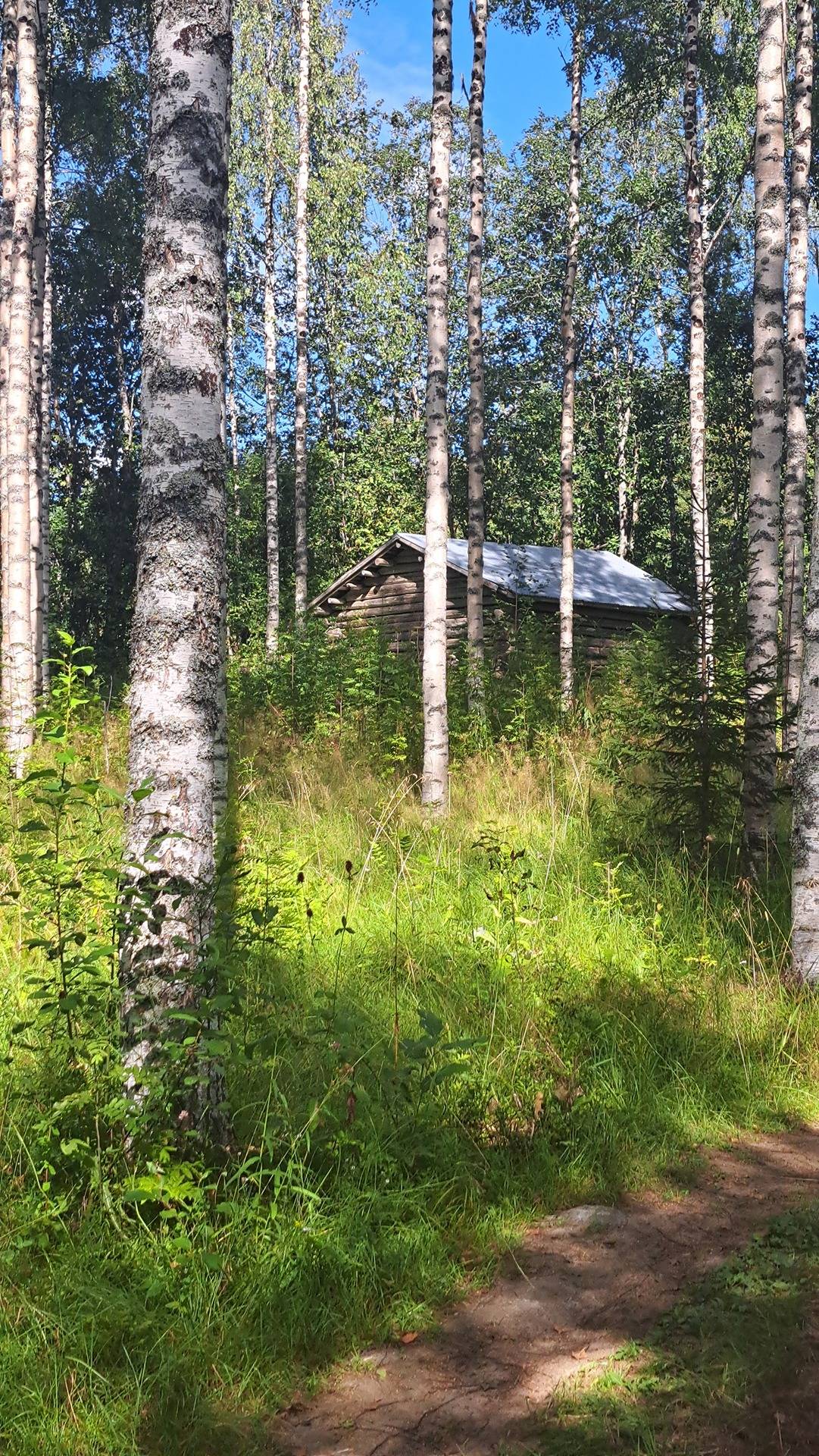 Alava 687-410-18-17 Rautavaara 1