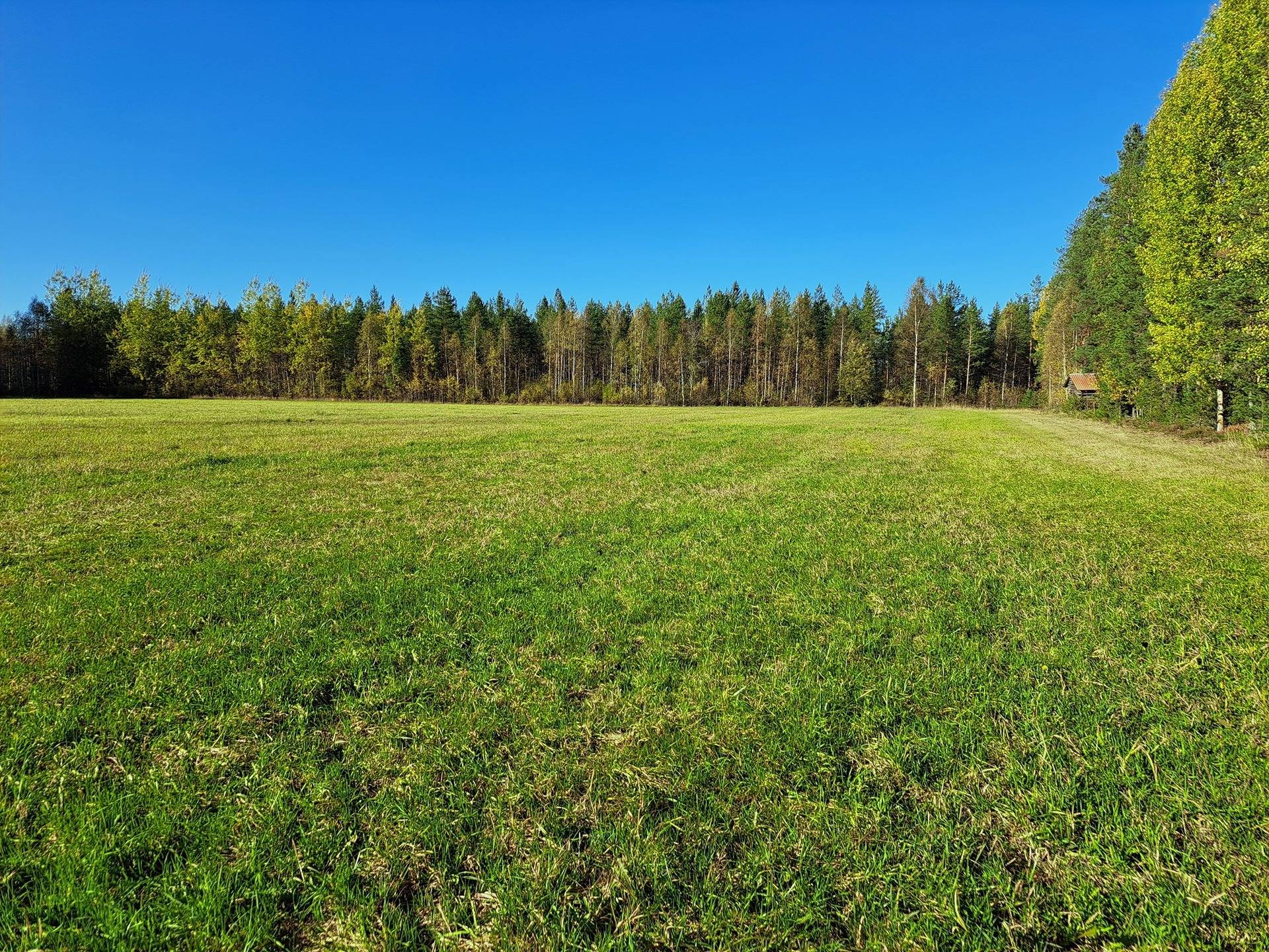 Veteli, Sillanpää EU-peltoa 5,90 ha 1