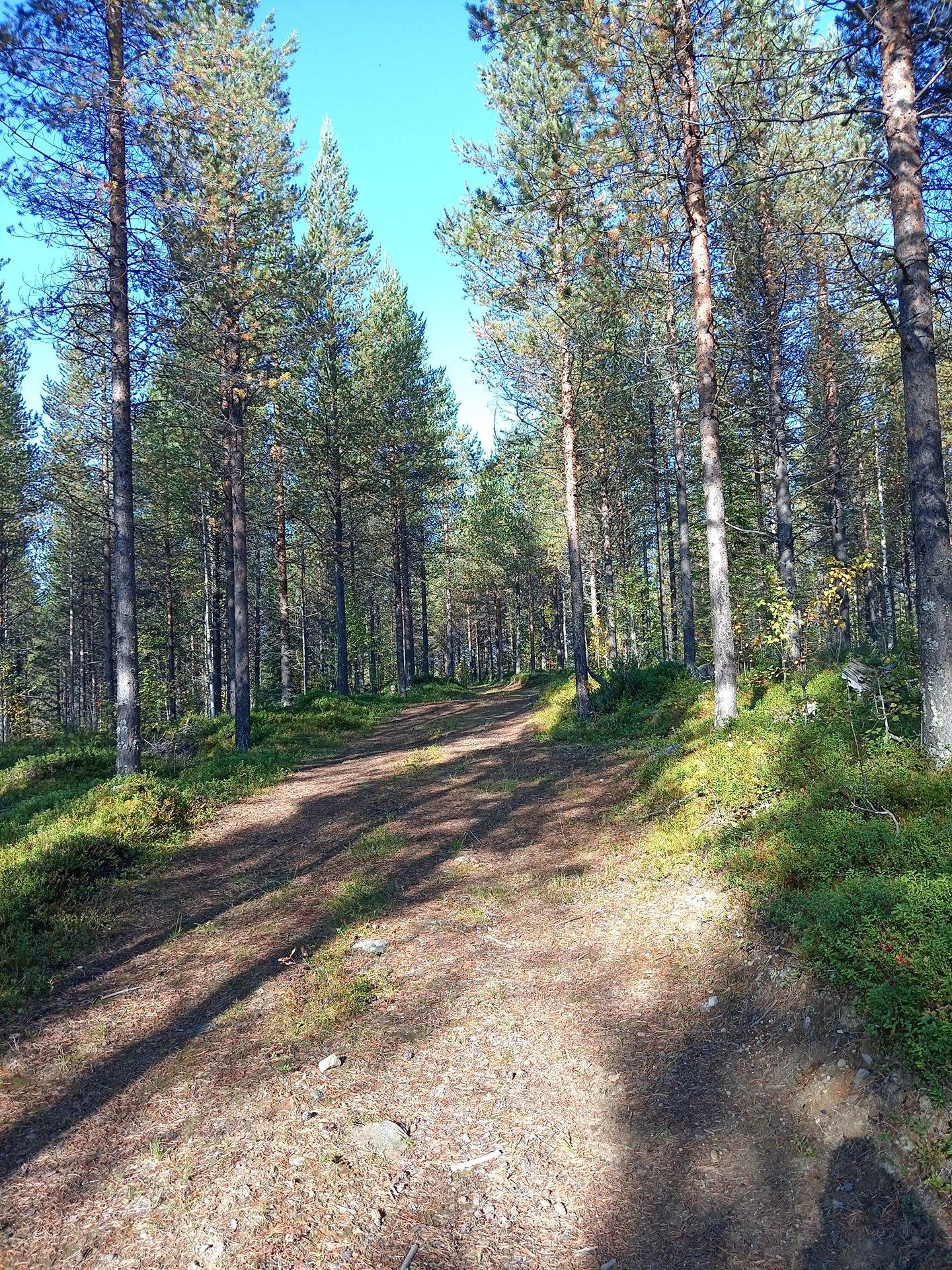 Kivilampi 305-422-21-25 1