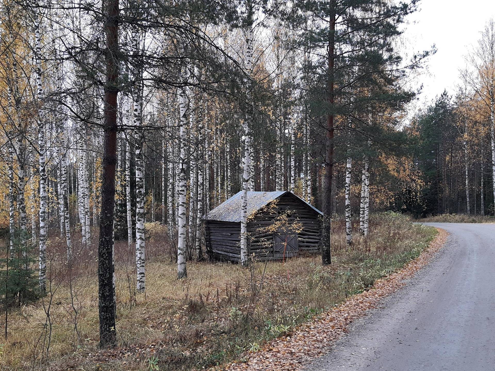 JUOSOLA 11:2, HAKKARALA 10:10 ja UOMANRINNE 22:13, Säyneinen, Juankoski 1