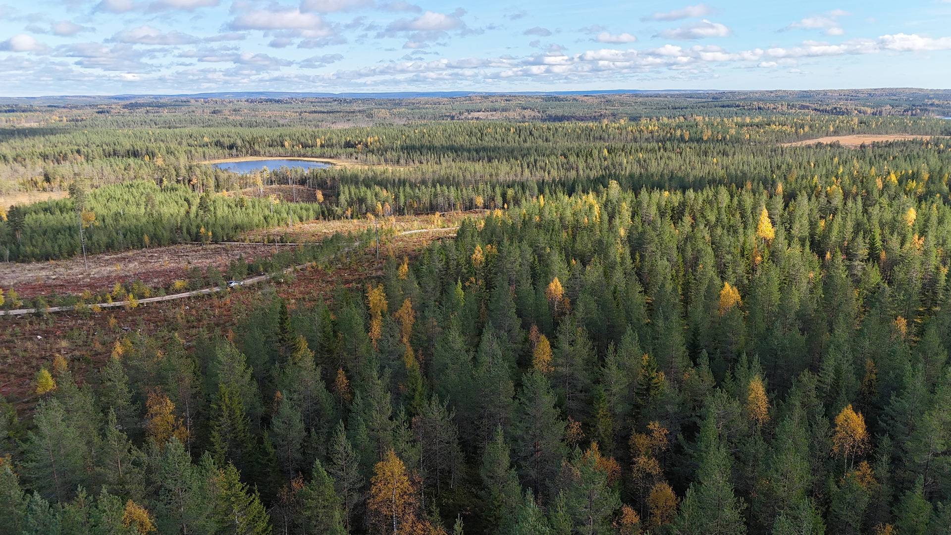 KATAJASUO 620-412-16-20 metsäkiinteistö 15,45 ha Puolangan Eskosenvaarassa. 1