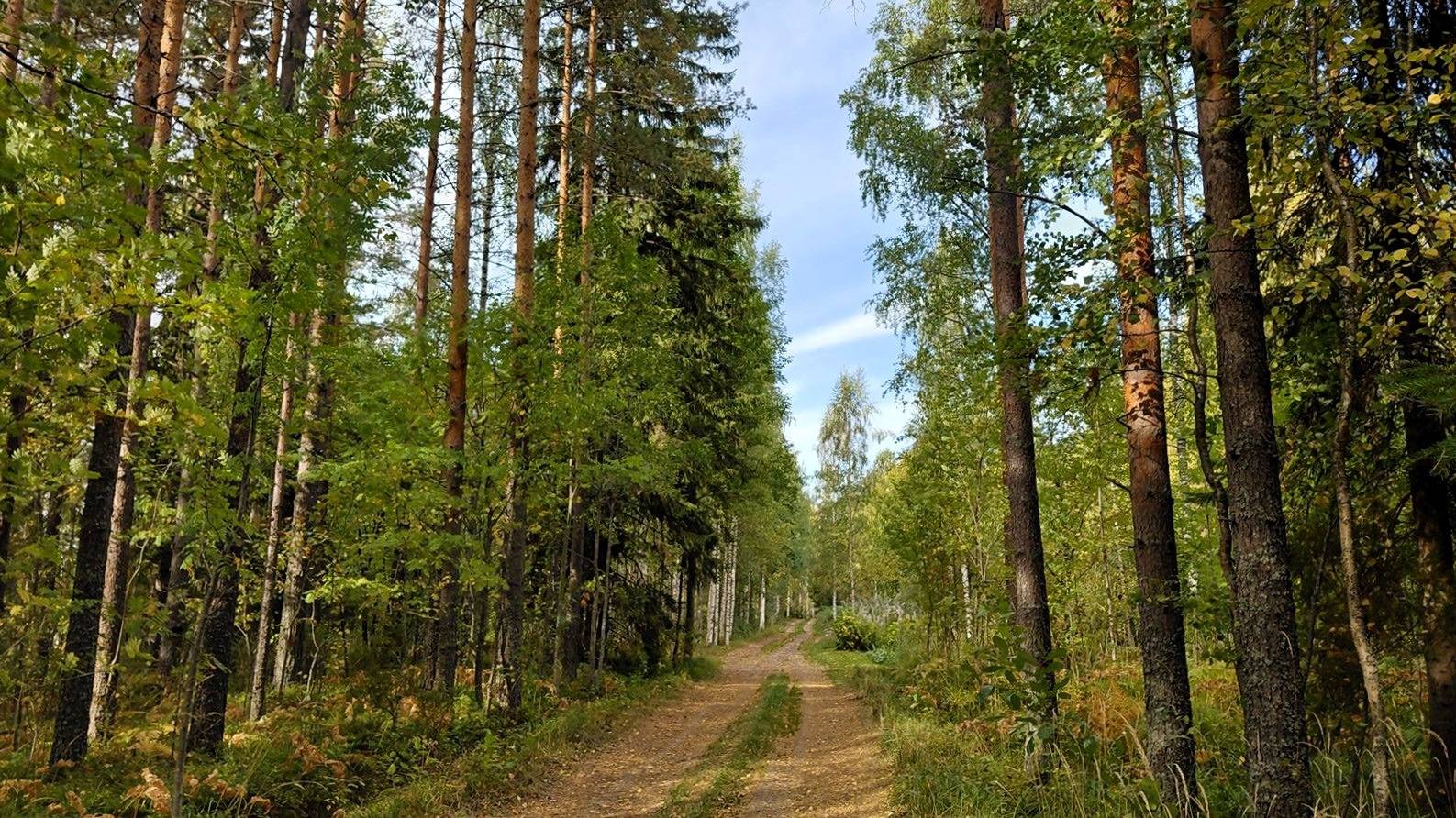 Tuponkannas 593-421-2-72 1